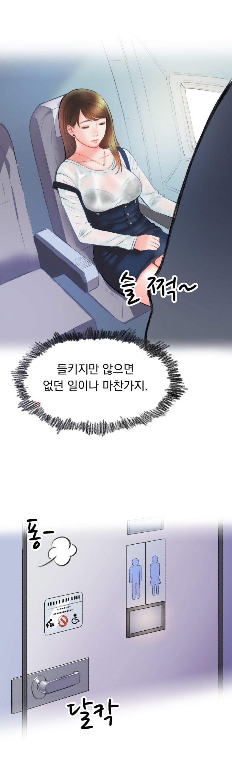 
비행기 화장실에서 한 썰
