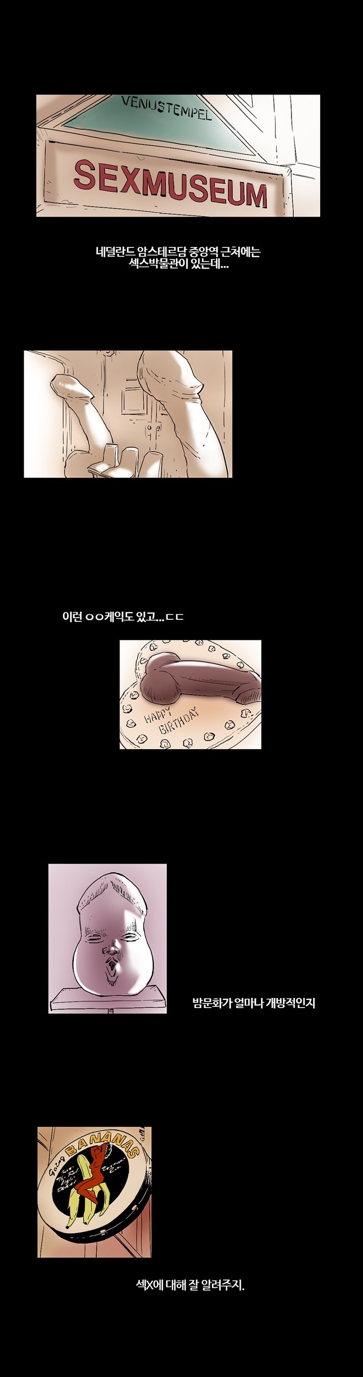 
유럽가서 네덜란드 사창가 엘프와 한 썰

