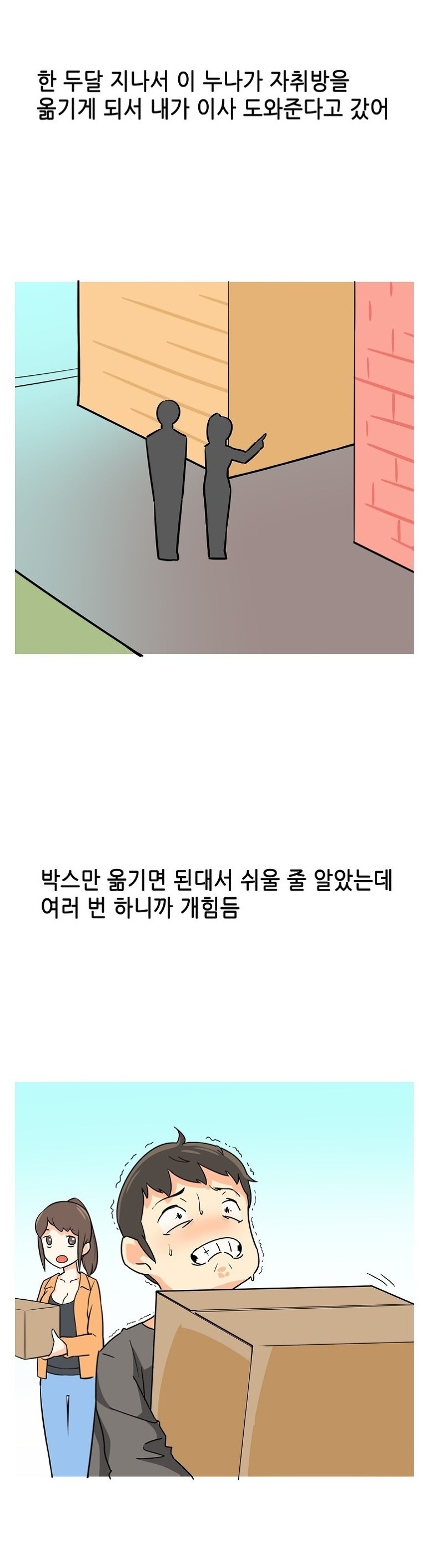 
가슴큰 누나 이사 도와주고 한 썰

