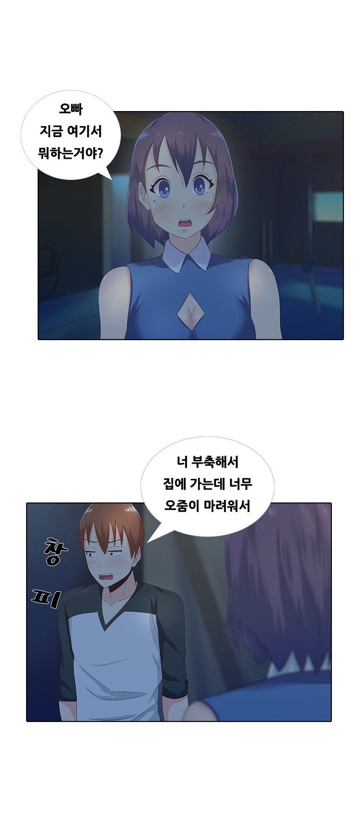 
야외섹스하다 체포된 썰
