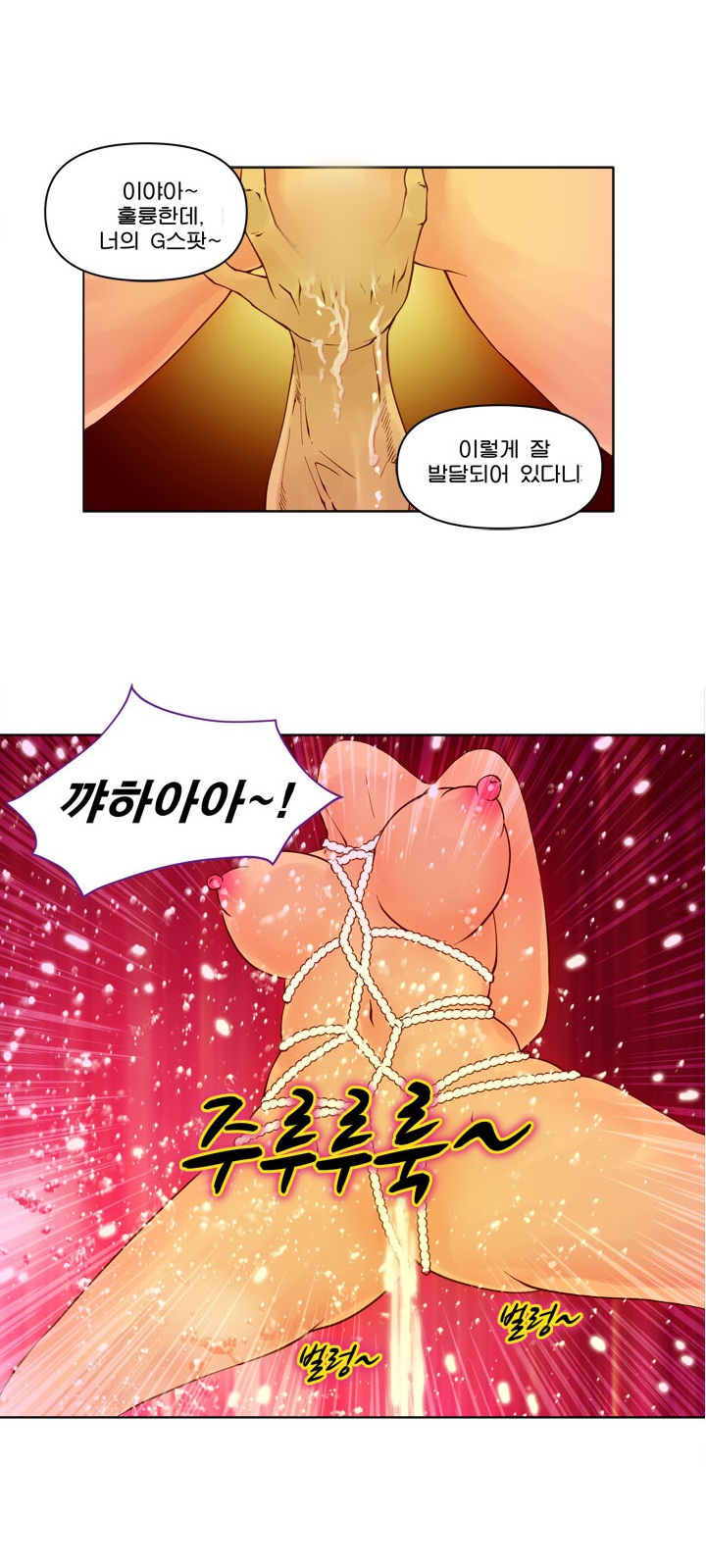 
사디앤마조-SM 클럽-
