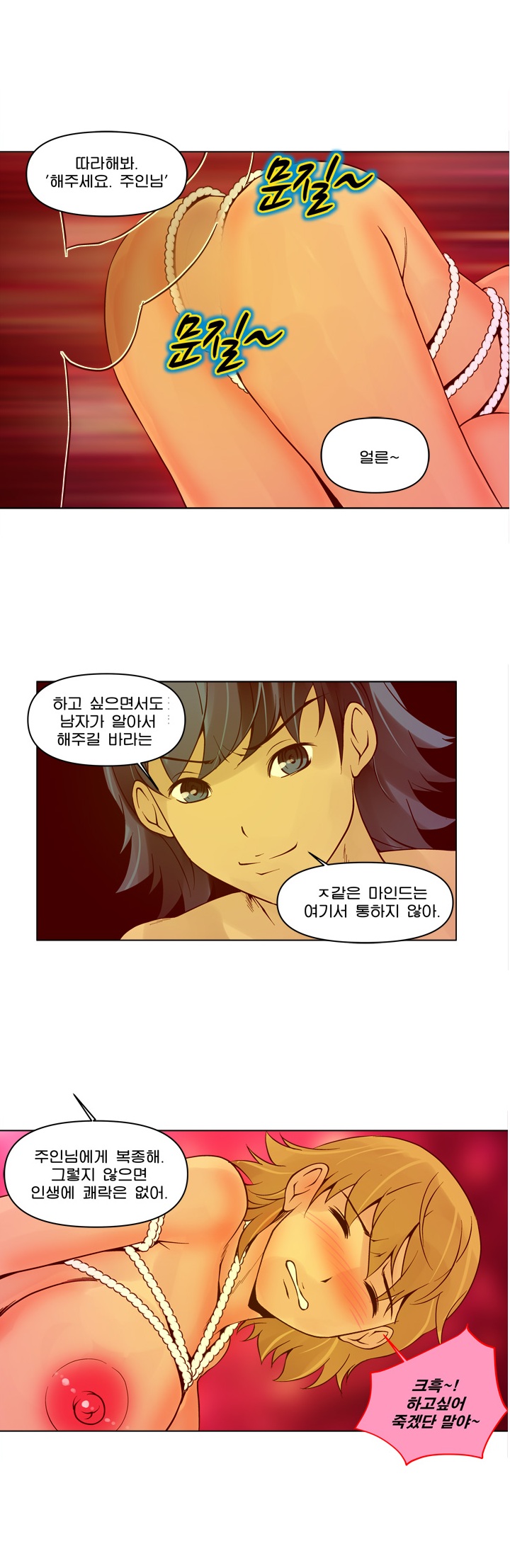 
사디앤마조-SM 클럽-

