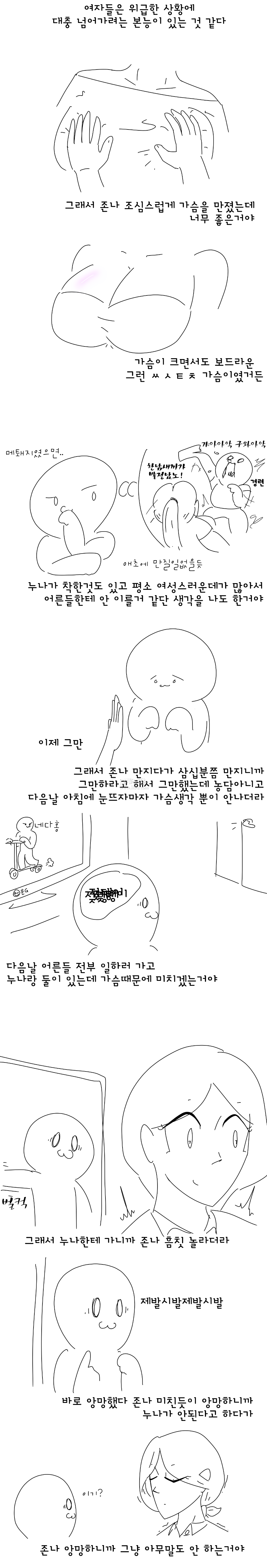 
중딩때 대딩누나 가슴 만진 썰만화
