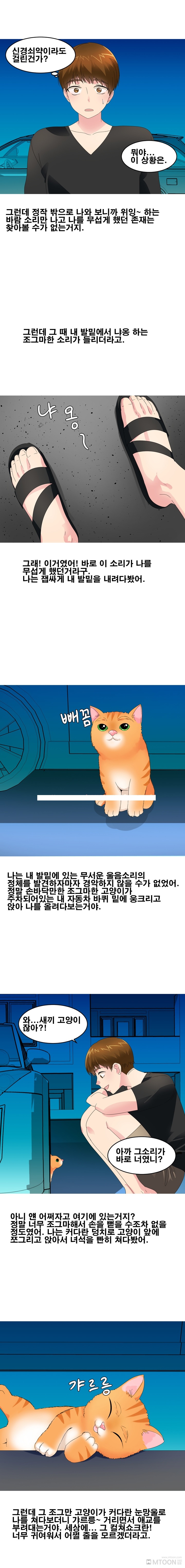 
섹시한 수의사와 한 썰
