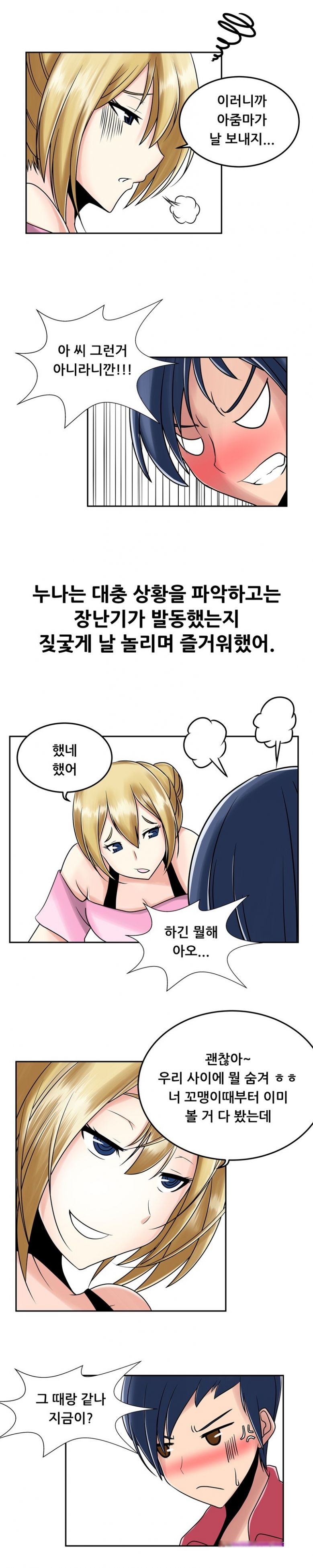
옆집사는 간호사 누나랑 한 썰
