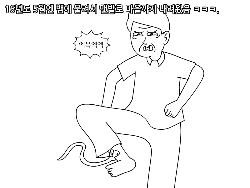 
보급형 자연인 본 썰만화
