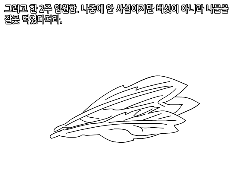 
보급형 자연인 본 썰만화
